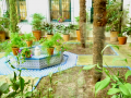 Jardin Museo Joaquin Sorolla Madrid