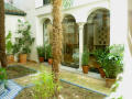 Jardin Museo Joaquin Sorolla Madrid