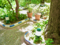 Jardin Museo Joaquin Sorolla Madrid