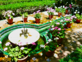 Jardin Museo Joaquin Sorolla Madrid