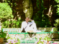 Jardin Museo Joaquin Sorolla Madrid