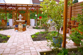 Patio-Garten März 2014