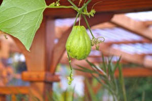Impressionen_19
