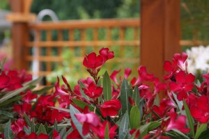 Impressionen_14