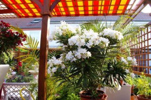 Impressionen_11