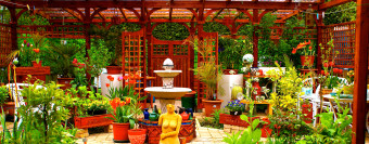 Willkommen - Welcome - Bienvenue DIY Patio-Garten - patio-garden - patio jardin