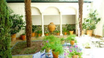 Inspiration für diese Gartengestaltung war dasPatio Andaluz - Madrid