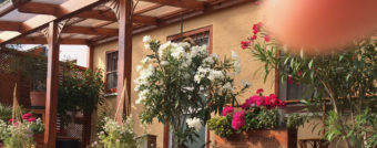 Mediterraner Vorgarten zum Selbermachen