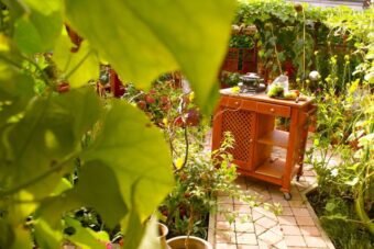 Mobile-Garten-Koch-Insel - 05