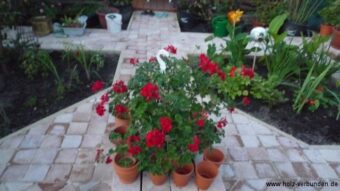 Garten_Beetflächen-Bepflanzung - 21