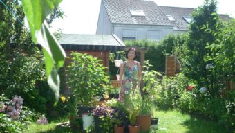Garten_Vorher - 16