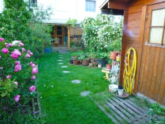 Garten_Vorher - 20