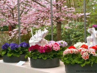Keukenhof_2014 - 085