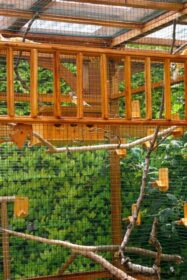 Vogel-Voliere-bird aviary - 139