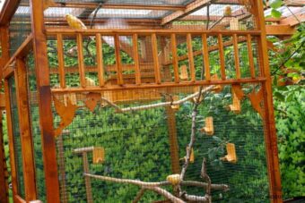 Vogel-Voliere-bird aviary - 140