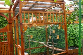 Vogel-Voliere-bird aviary - 141